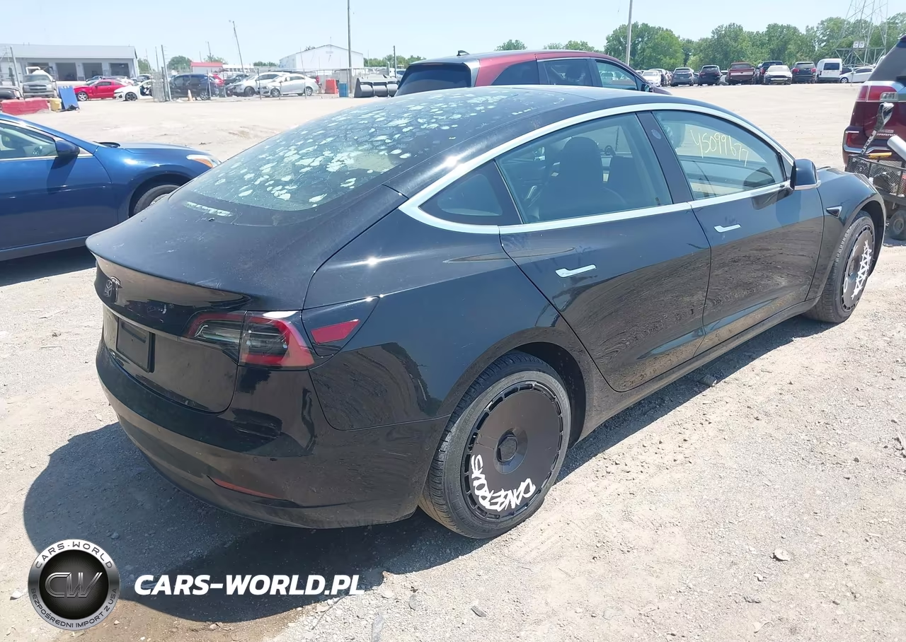 2019 Tesla Model 3 Long Range-Mid Range-Standard Range-Standard Range Plus VIN:5YJ3E1EA8KF304493 - 4