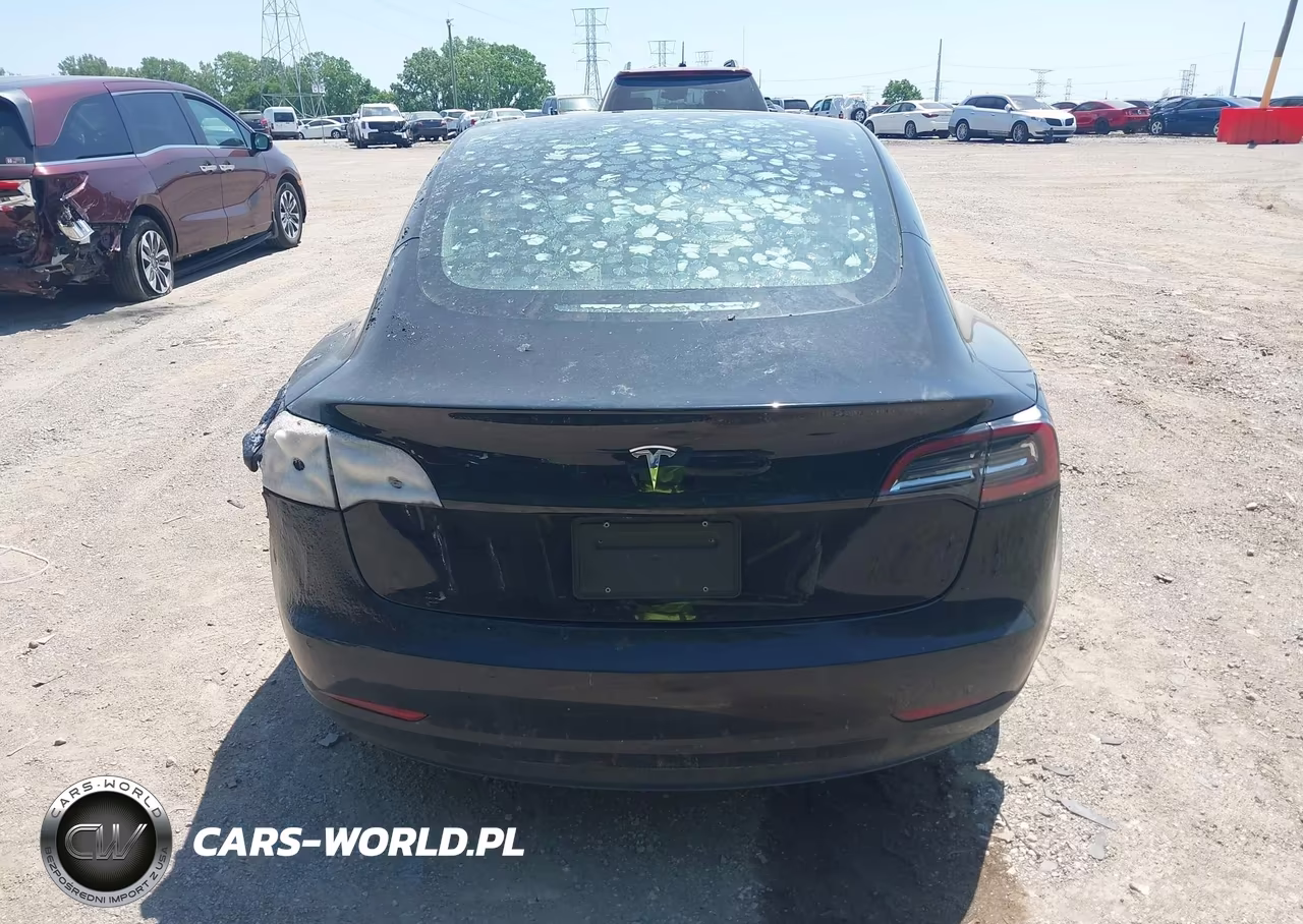 2019 Tesla Model 3 Long Range-Mid Range-Standard Range-Standard Range Plus VIN:5YJ3E1EA8KF304493 - 6