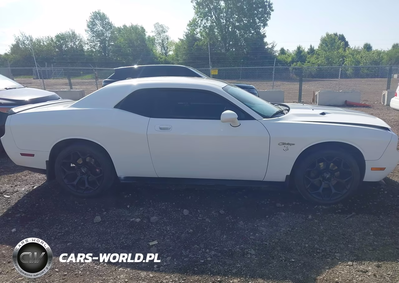 2009 Dodge Challenger Se VIN:2B3LJ44V09H520653 - 14