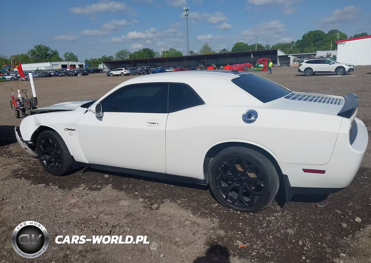 2009 Dodge Challenger Se VIN:2B3LJ44V09H520653 - 15