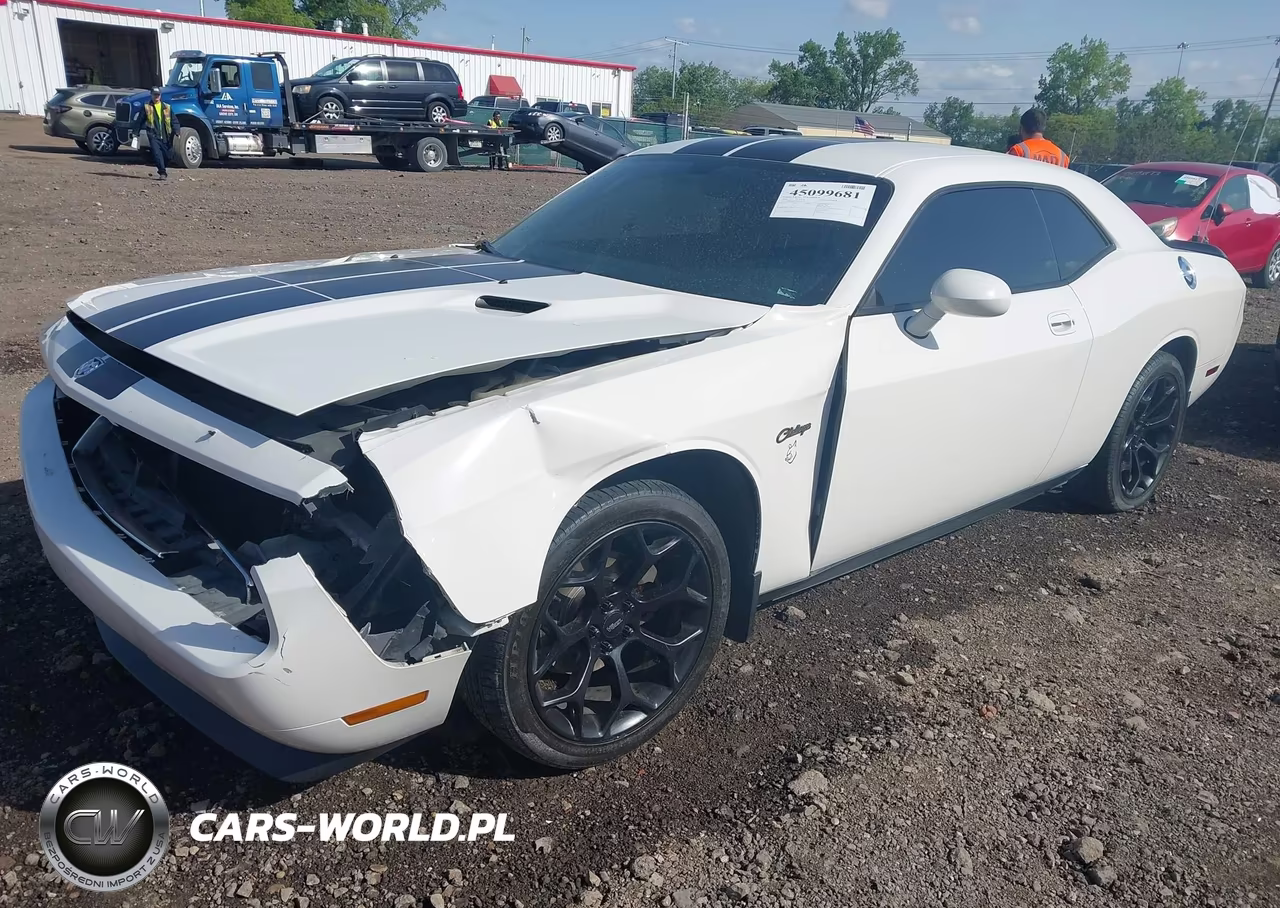 2009 Dodge Challenger Se VIN:2B3LJ44V09H520653 - 2