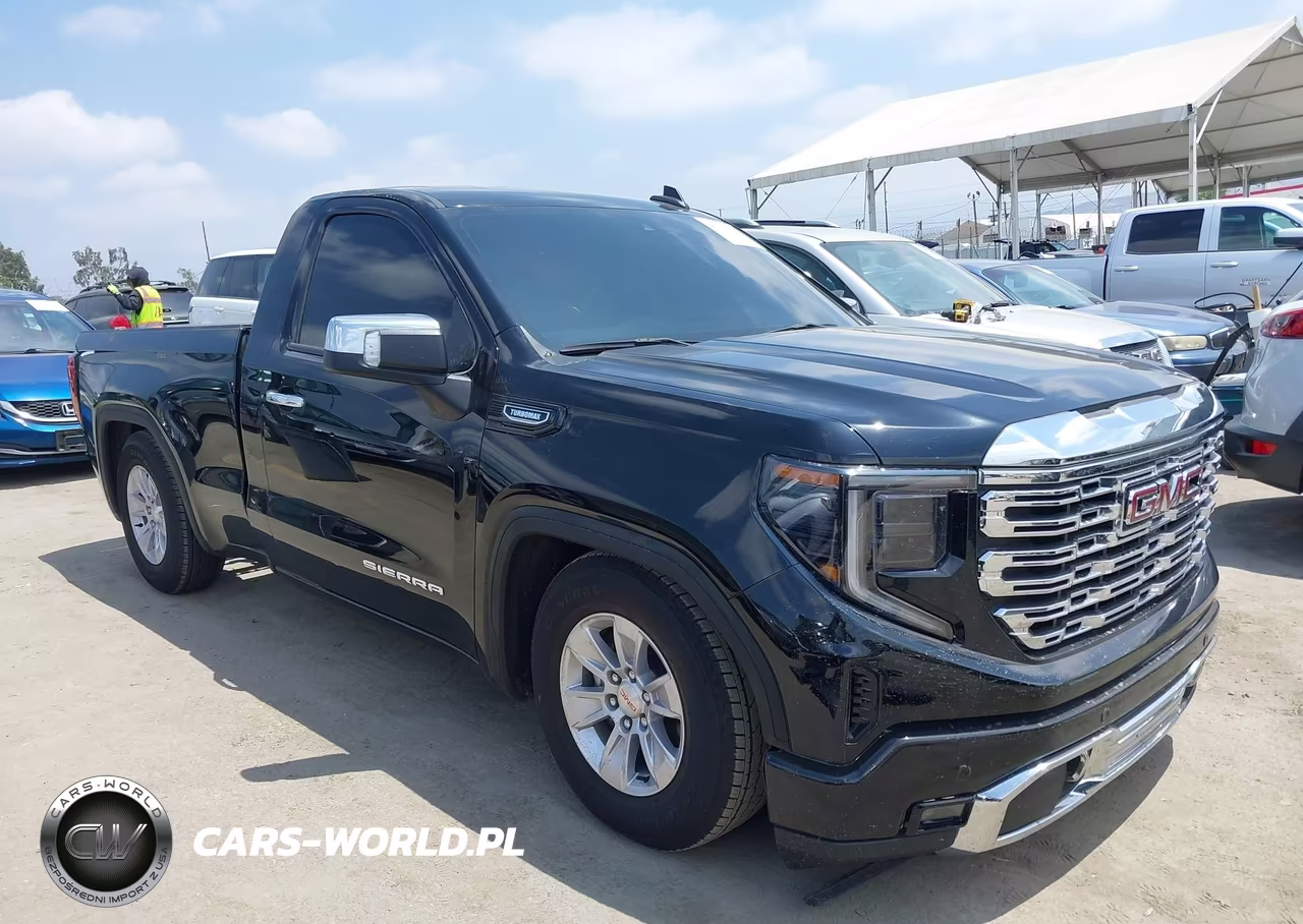 2025 GMC Sierra 1500 2Wd Standard Box Pro – zdjęcie 1 z 17