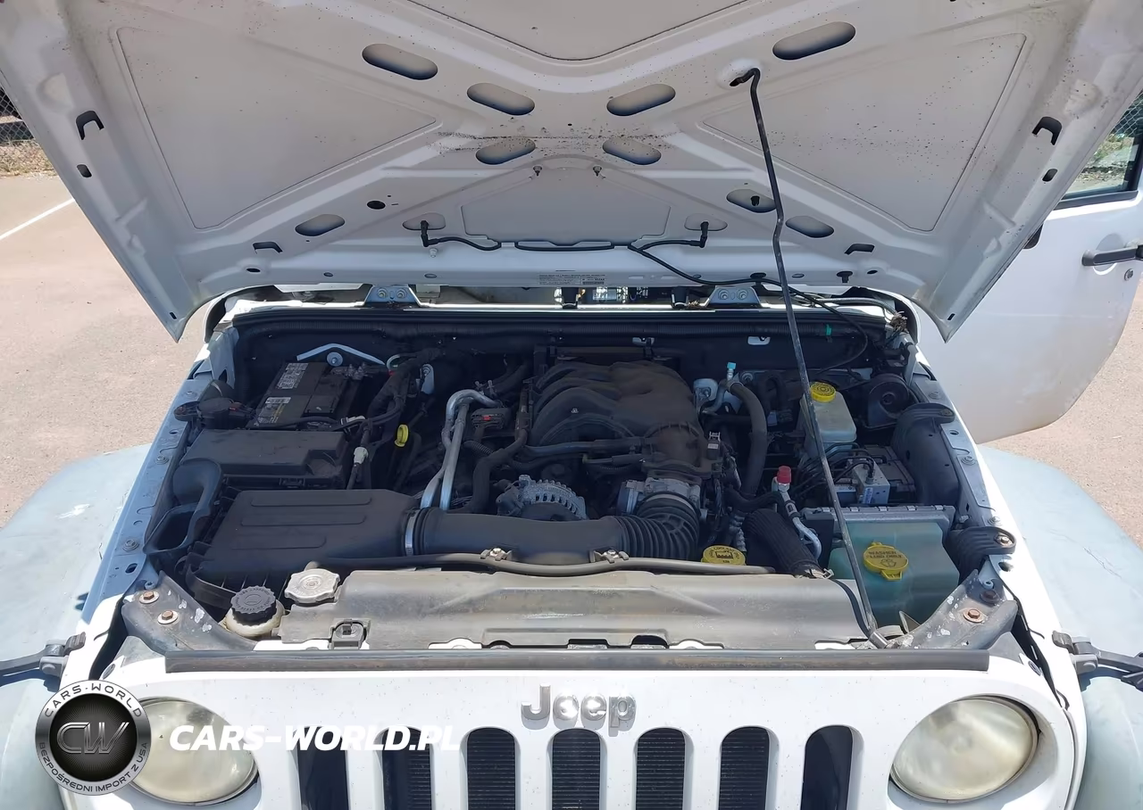 2013 Jeep Wrangler Sport VIN:1C4AJWAGXDL556952 - 10