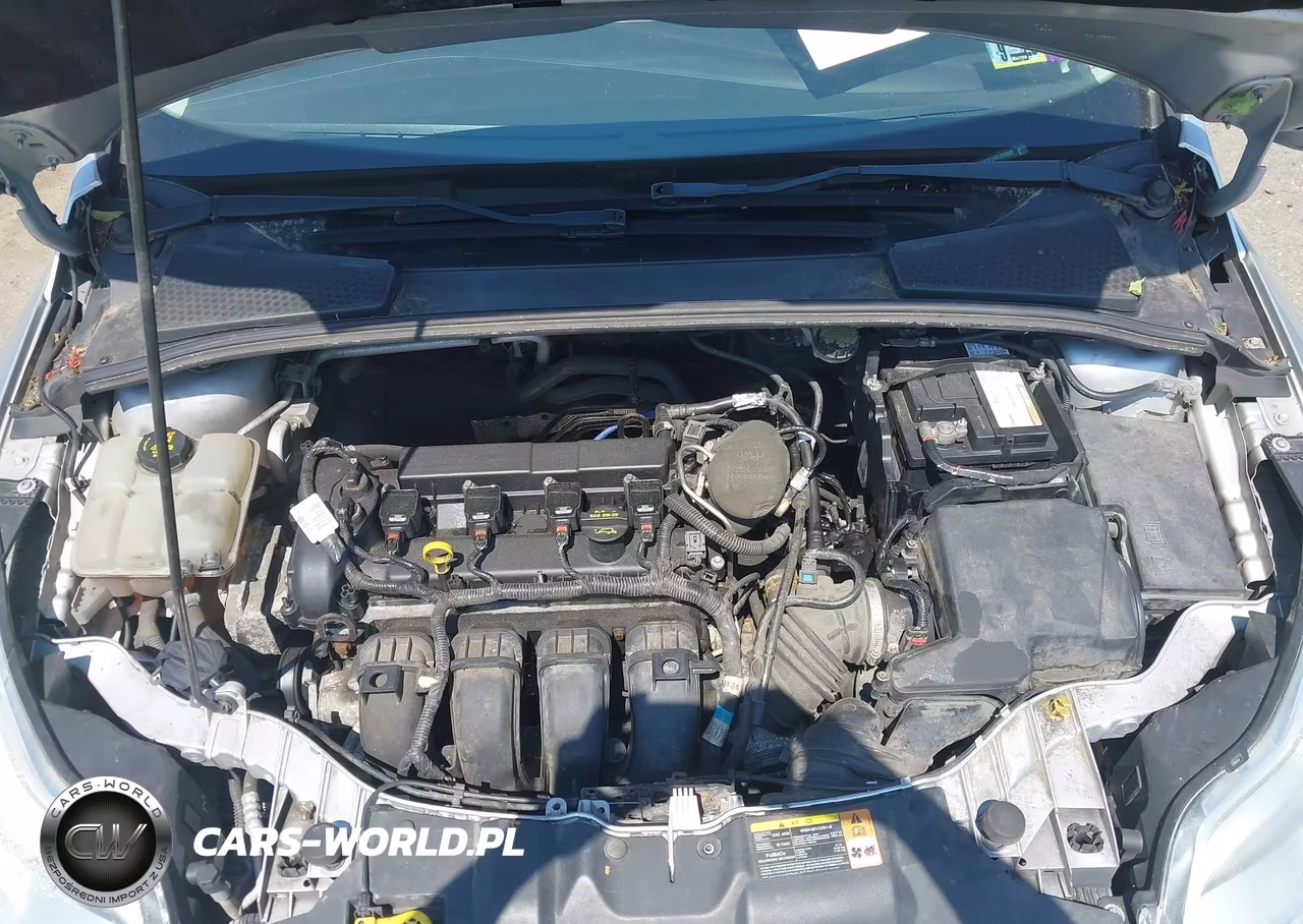 2014 Ford Focus Se VIN:1FADP3F29EL222992 - 10