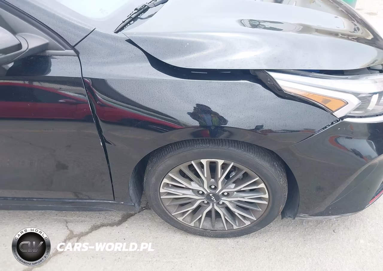 2022 Kia Forte Gt-Line VIN:3KPF54AD9NE442794 - 19