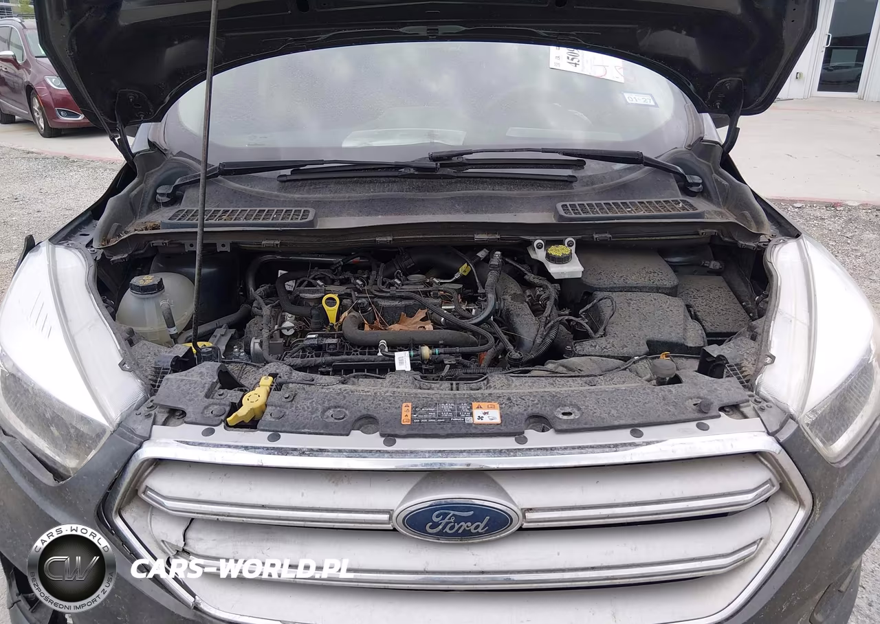2019 Ford Escape Se VIN:1FMCU0GD5KUC52618 - 10
