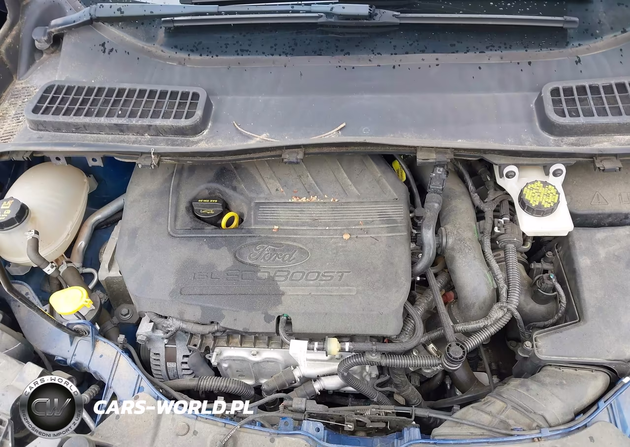 2018 Ford Escape Se VIN:1FMCU9GD5JUD31077 - 10