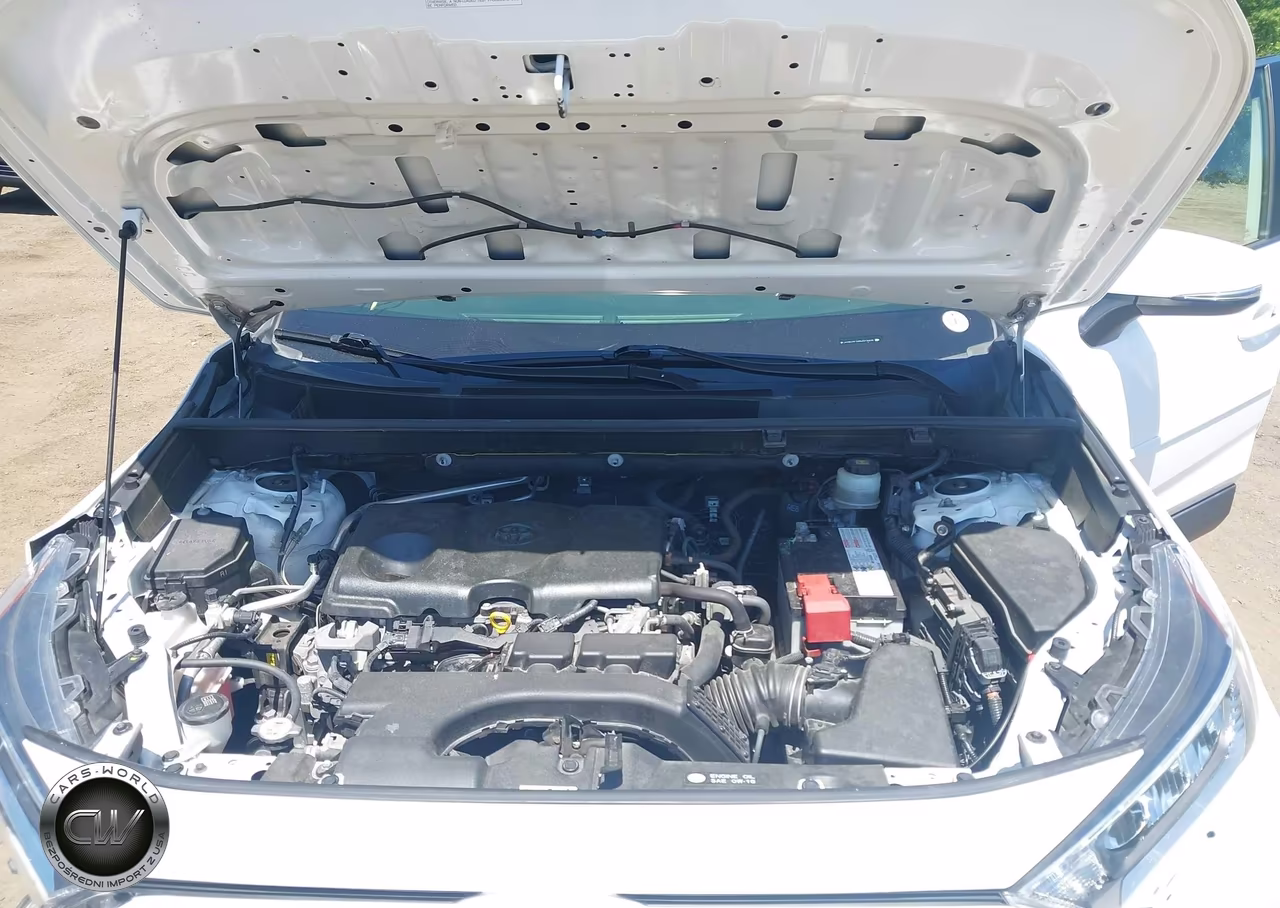 2019 Toyota Rav4 Xle Premium VIN:JTMA1RFV4KD515006 - 10
