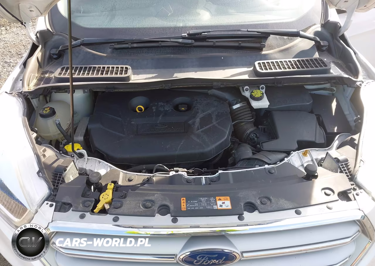 2019 Ford Escape Titanium VIN:1FMCU9J94KUA27163 - 10