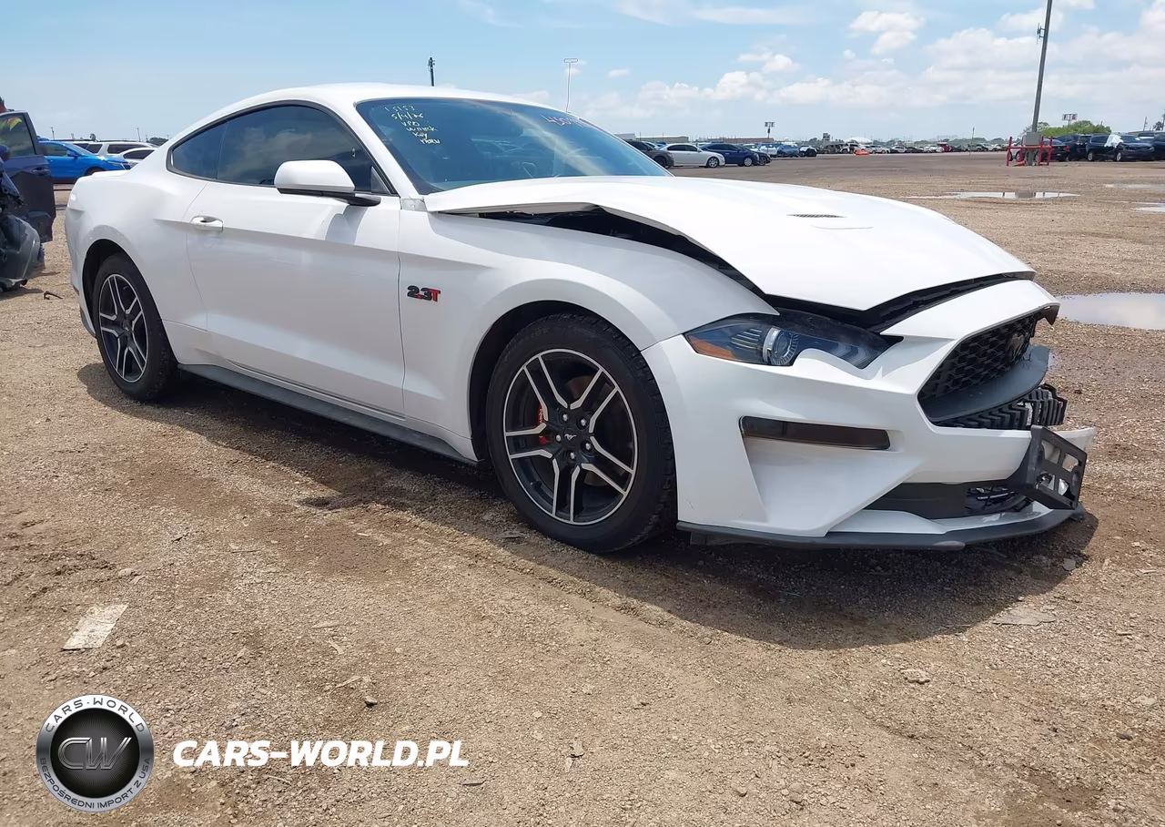 2019 Ford Mustang