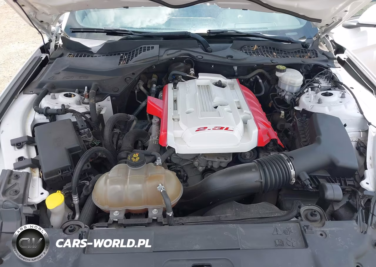2019 Ford Mustang VIN:1FA6P8TH9K5194531 - 10