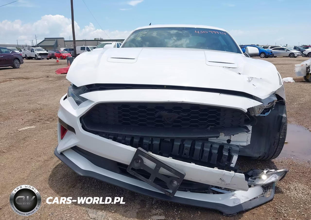 2019 Ford Mustang VIN:1FA6P8TH9K5194531 - 13