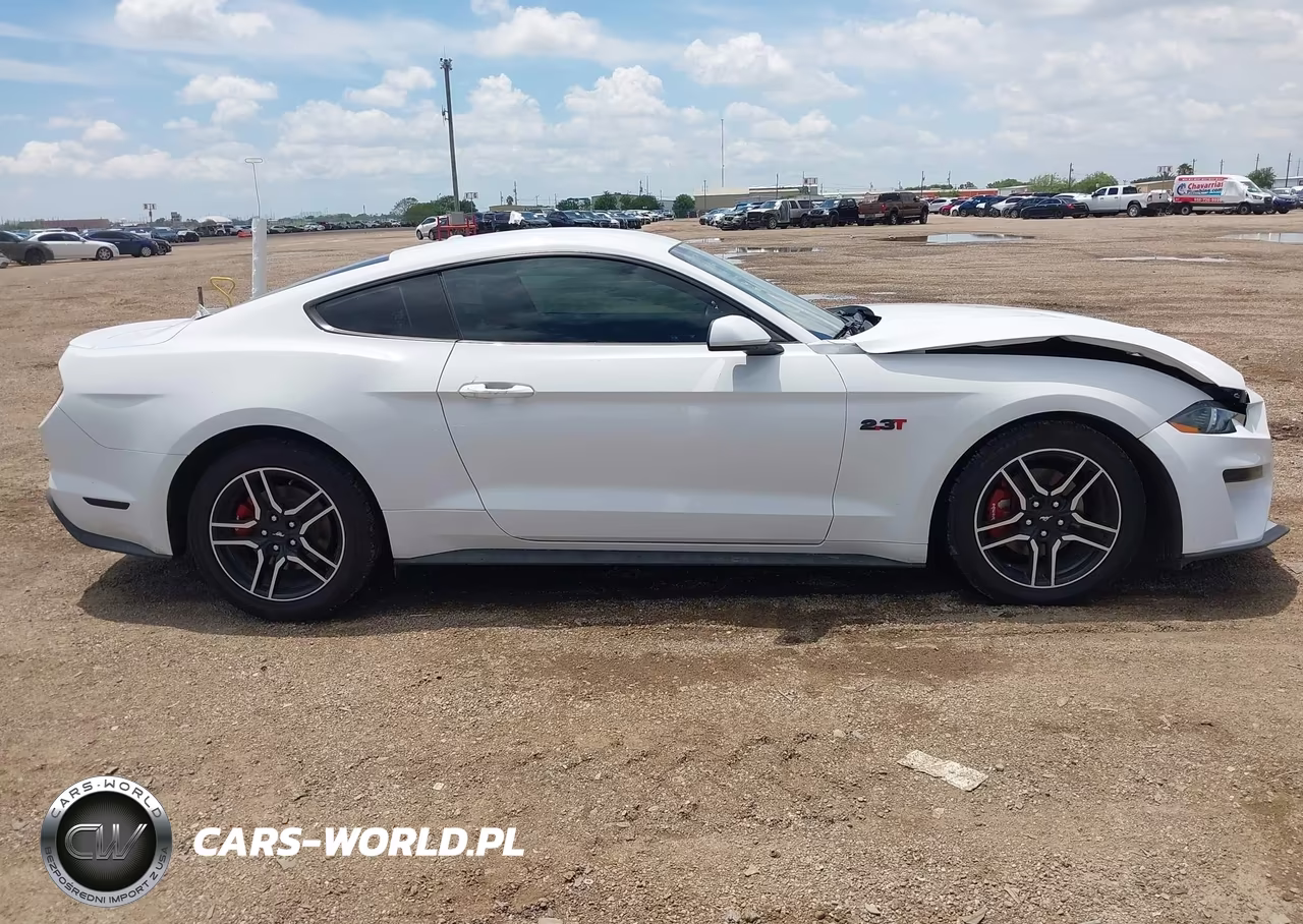 2019 Ford Mustang VIN:1FA6P8TH9K5194531 - 14