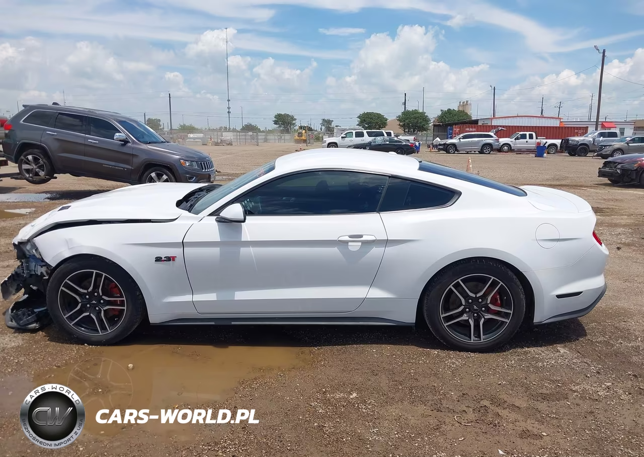 2019 Ford Mustang VIN:1FA6P8TH9K5194531 - 15