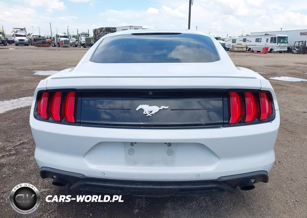 2019 Ford Mustang VIN:1FA6P8TH9K5194531 - 17