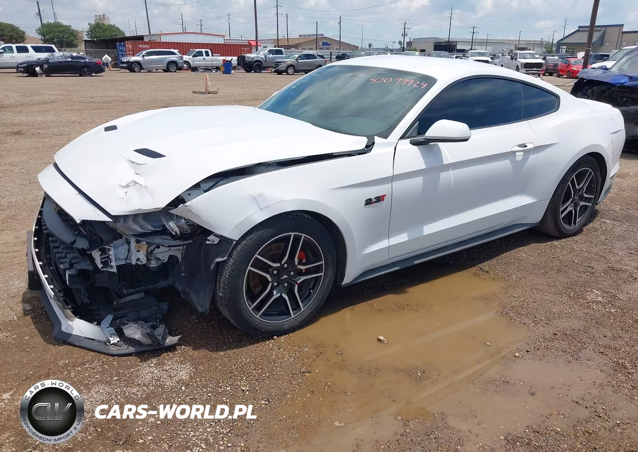 2019 Ford Mustang VIN:1FA6P8TH9K5194531 - 2