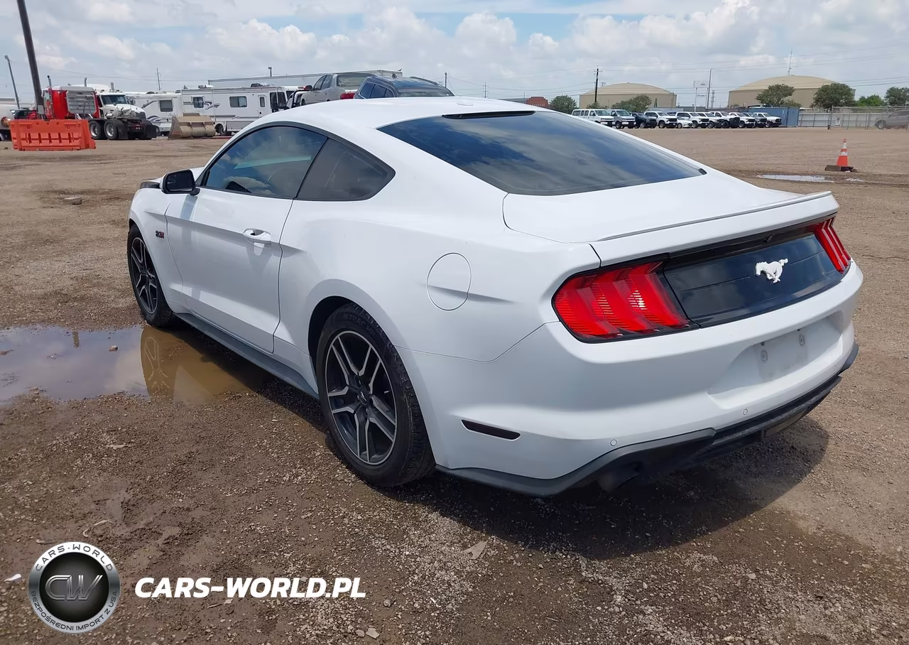 2019 Ford Mustang VIN:1FA6P8TH9K5194531 - 3