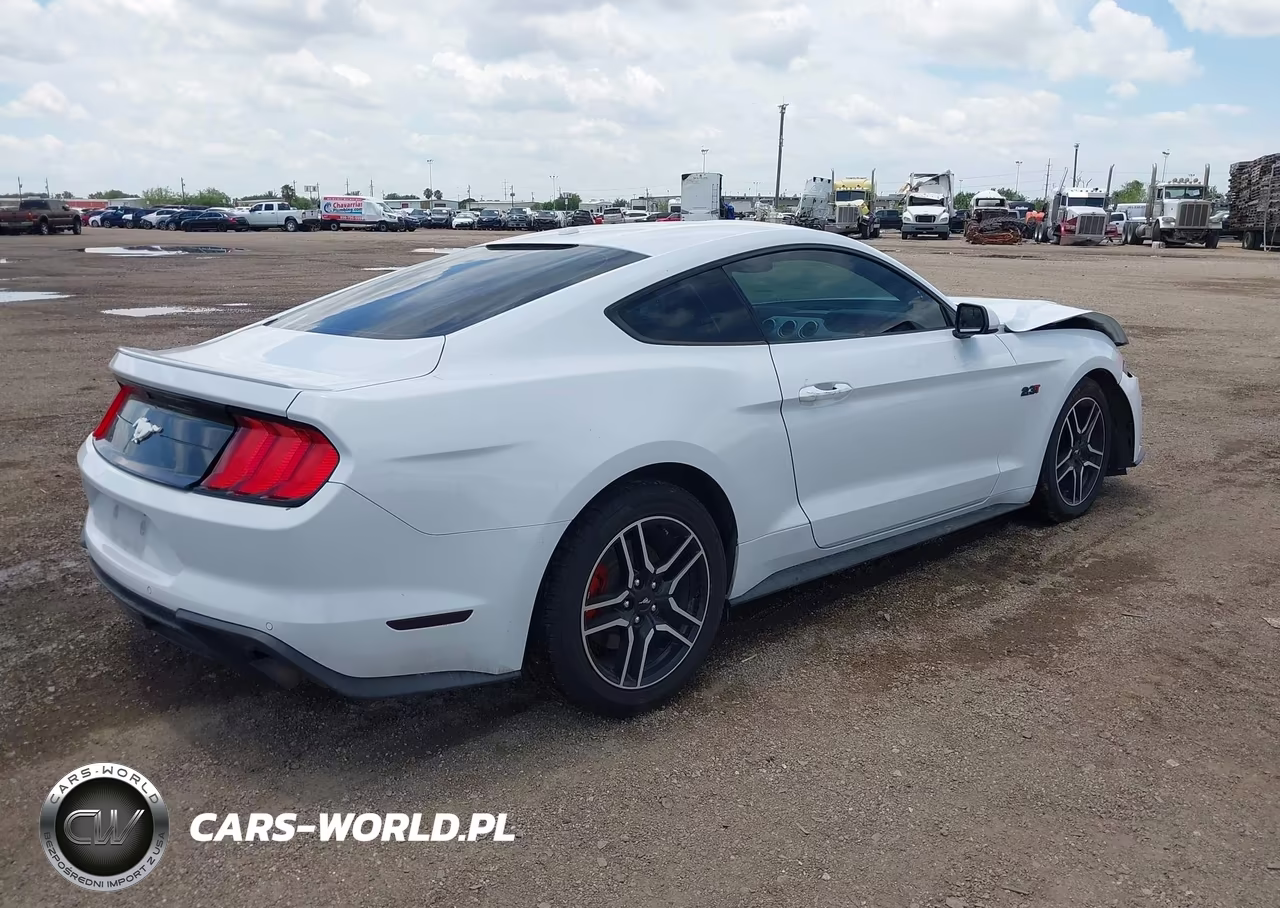 2019 Ford Mustang VIN:1FA6P8TH9K5194531 - 4