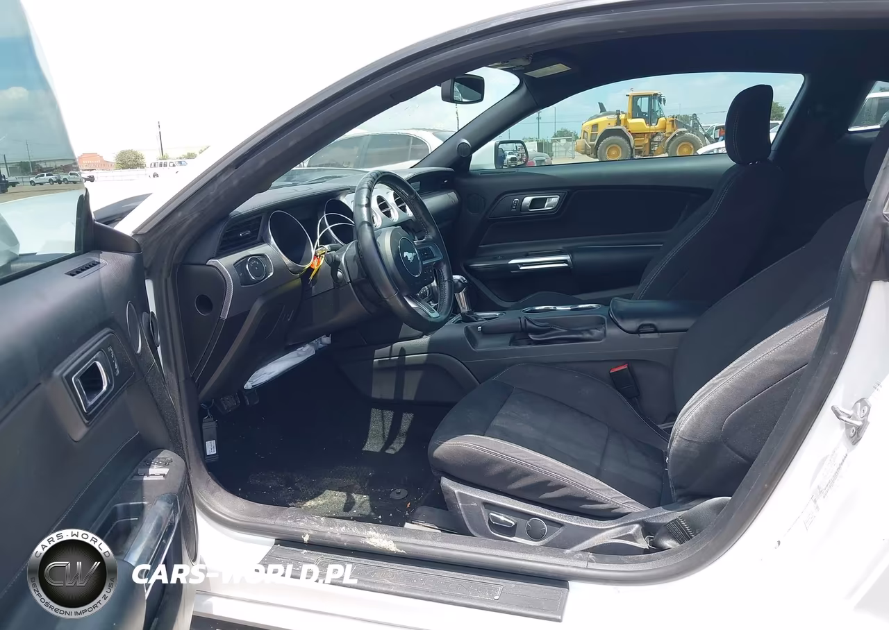2019 Ford Mustang VIN:1FA6P8TH9K5194531 - 5