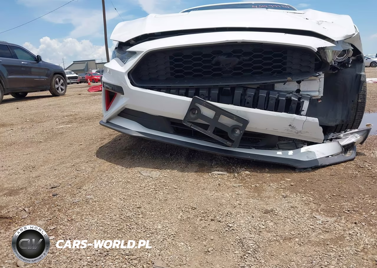 2019 Ford Mustang VIN:1FA6P8TH9K5194531 - 6
