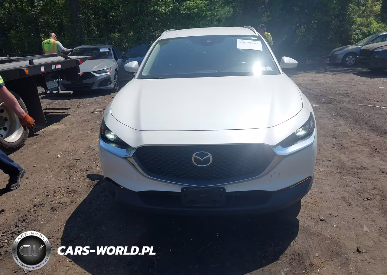 2022 Mazda Cx-30 Select VIN:3MVDMBBL9NM430217 - 12