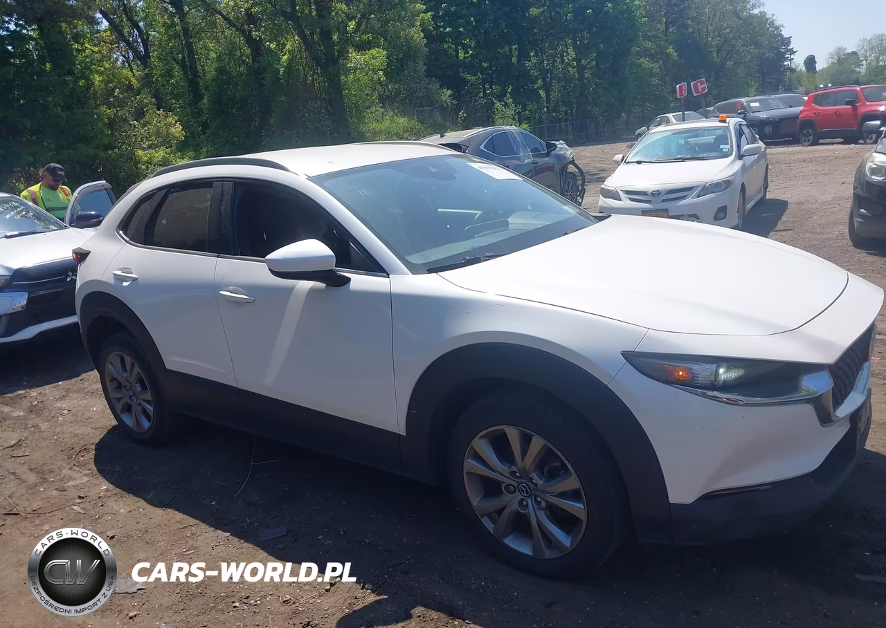 2022 Mazda Cx-30 Select VIN:3MVDMBBL9NM430217 - 13