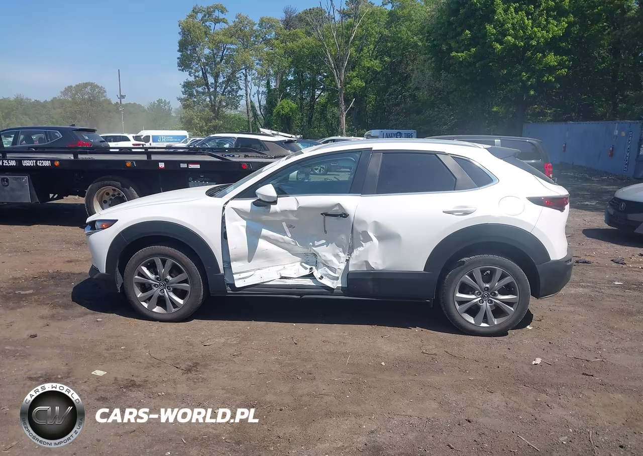 2022 Mazda Cx-30 Select VIN:3MVDMBBL9NM430217 - 14