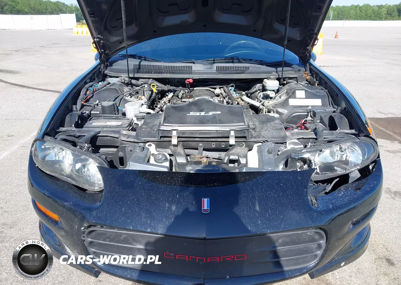 2002 Chevrolet Camaro Z28 VIN:2G1FP32G222135878 - 10