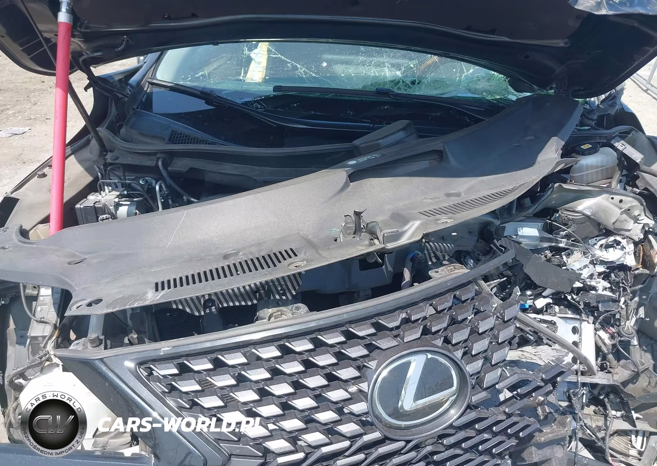 2022 Lexus Rx 350L VIN:JTJHZKEA0N2026449 - 10