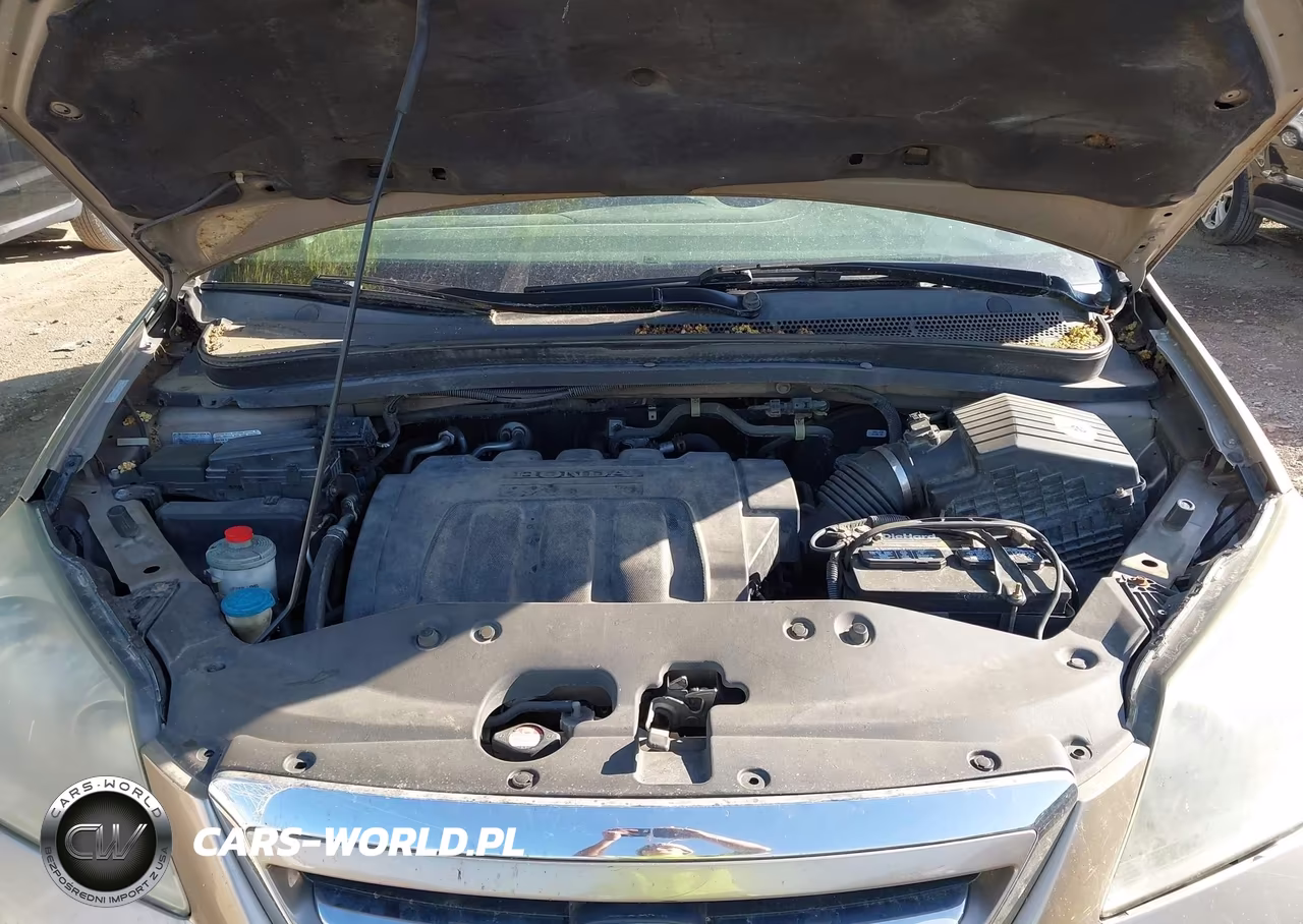 2007 Honda Odyssey Ex VIN:5FNRL384X7B054280 - 10
