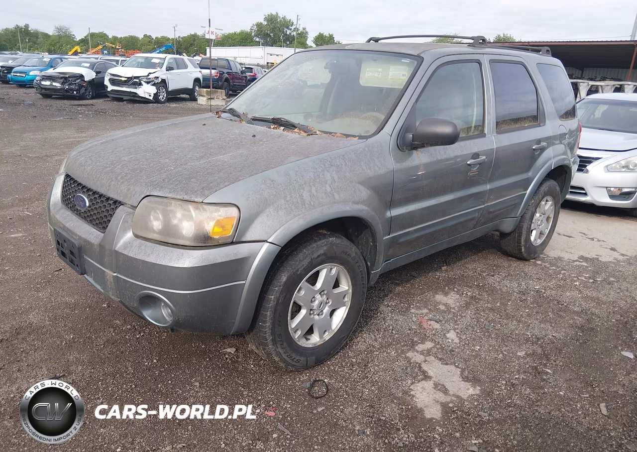 2006 Ford Escape Limited VIN:1FMYU94116KD54259 - 2