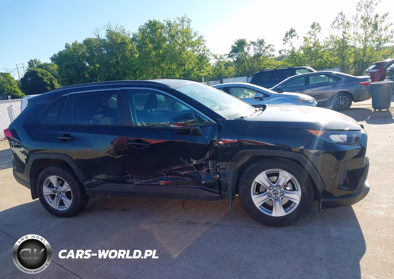 2019 Toyota Rav4 Le VIN:2T3MWRFV6KW014264 - 13