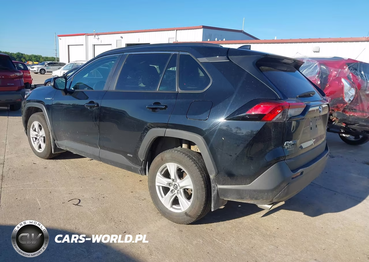 2019 Toyota Rav4 Le VIN:2T3MWRFV6KW014264 - 3