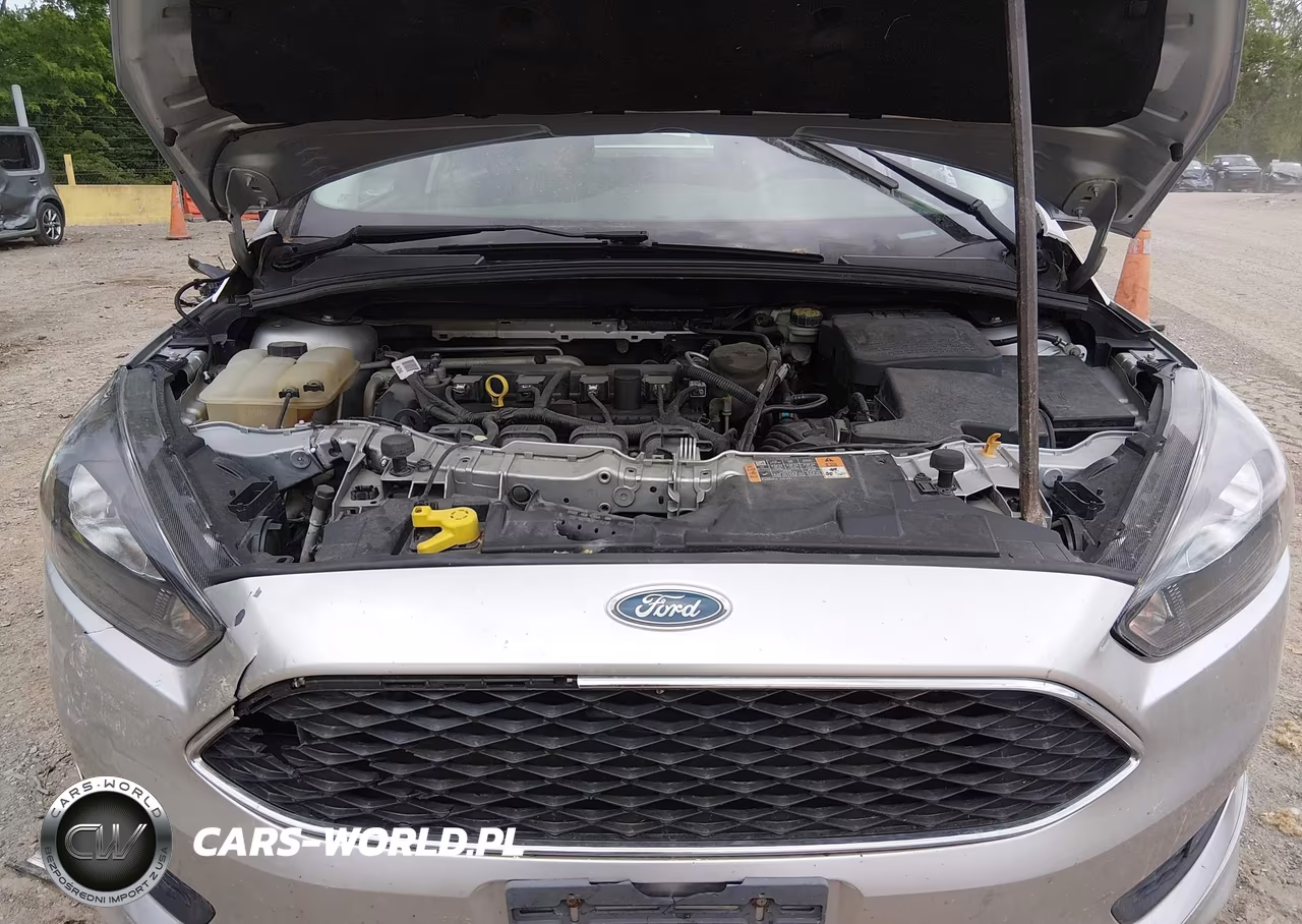 2015 Ford Focus Se VIN:1FADP3F27FL338841 - 10