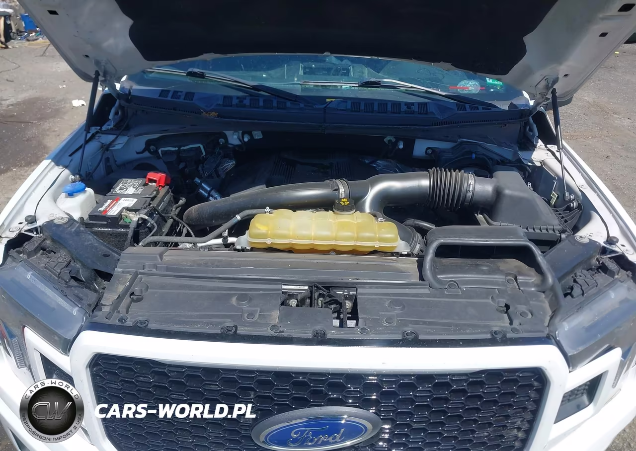 2019 Ford F-150 Xlt VIN:1FTEW1E48KFD28790 - 10
