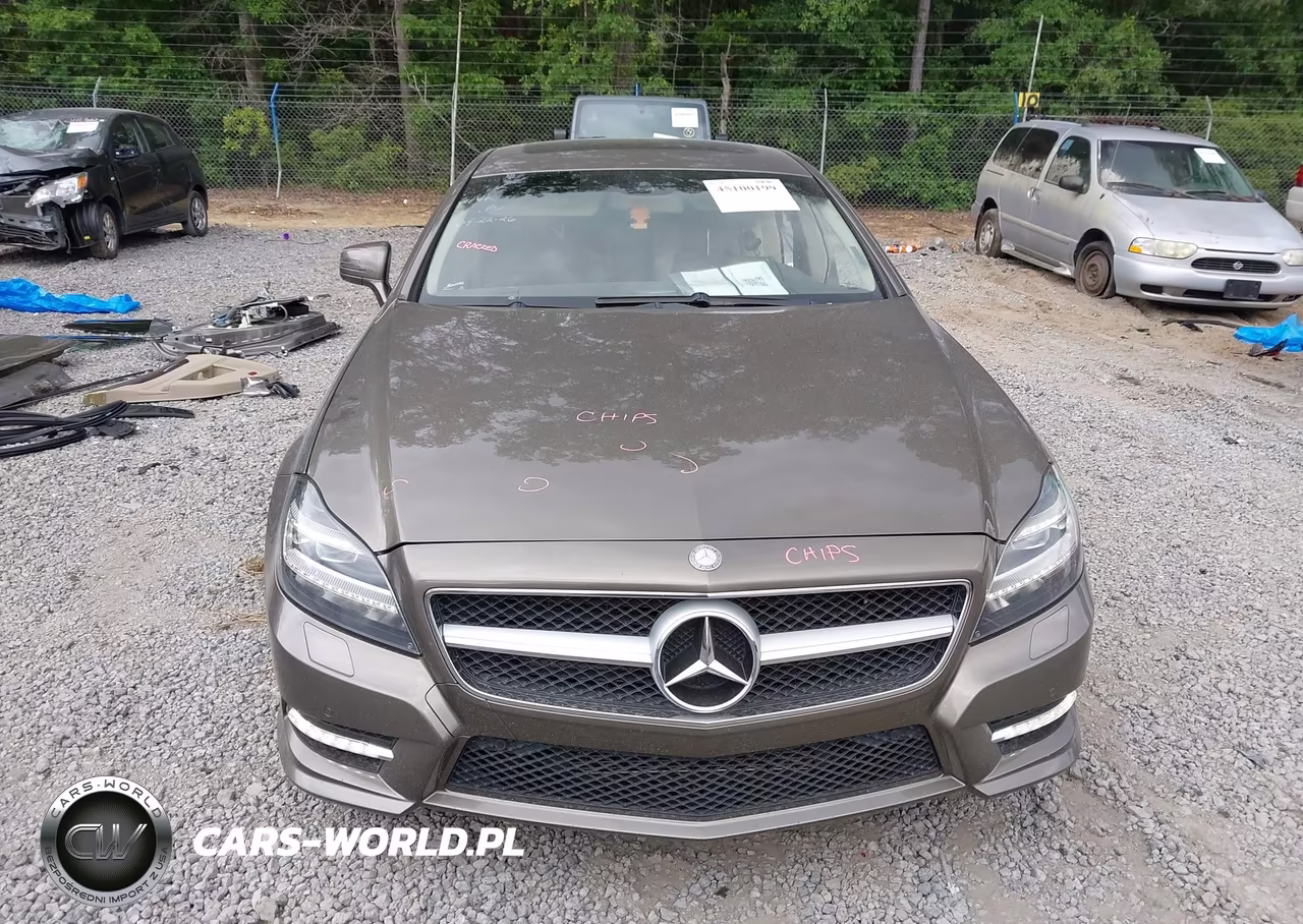 2012 Mercedes-Benz Cls 550 VIN:WDDLJ7DB8CA046310 - 13