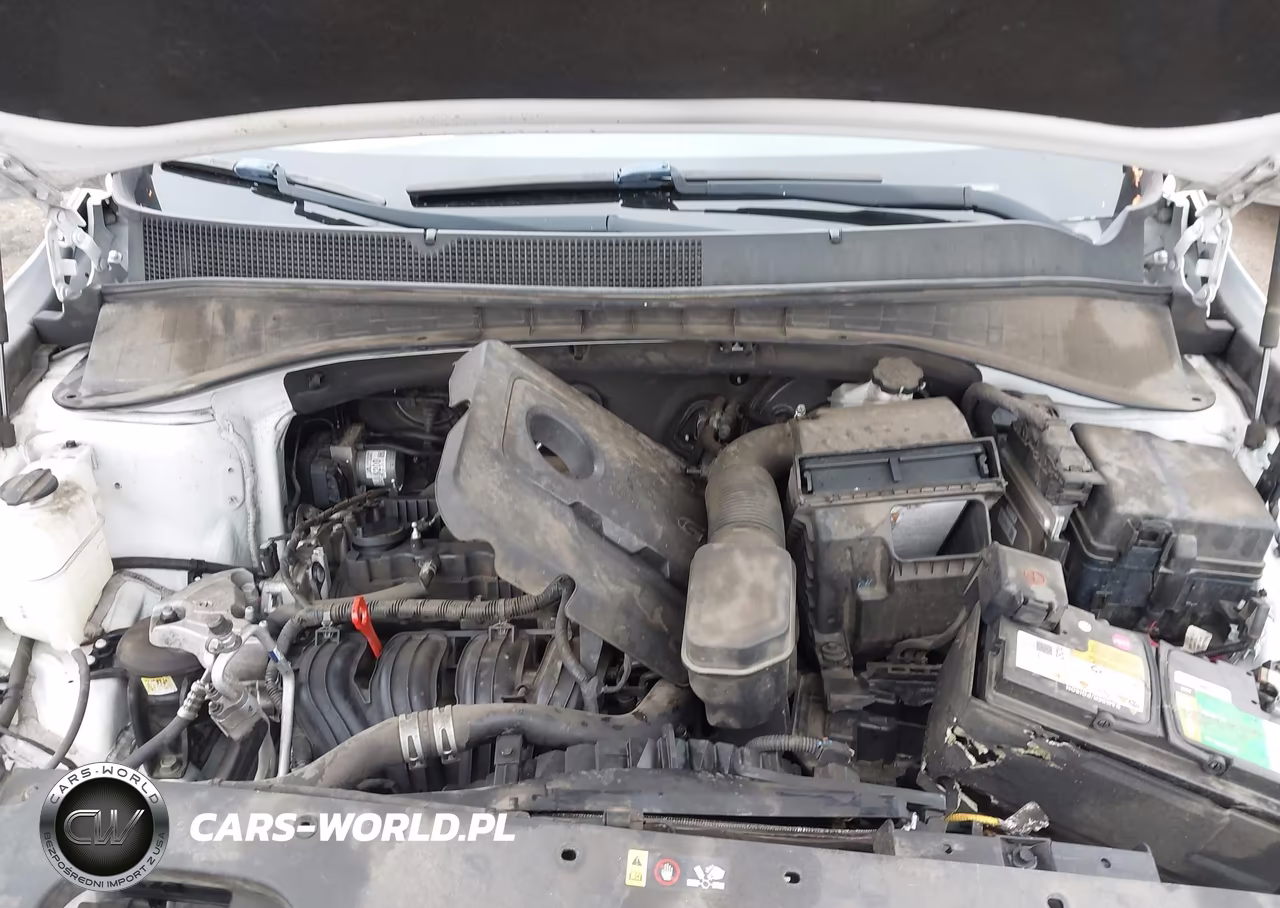 2019 Kia Sorento 2.4L Lx VIN:5XYPG4A39KG434246 - 10