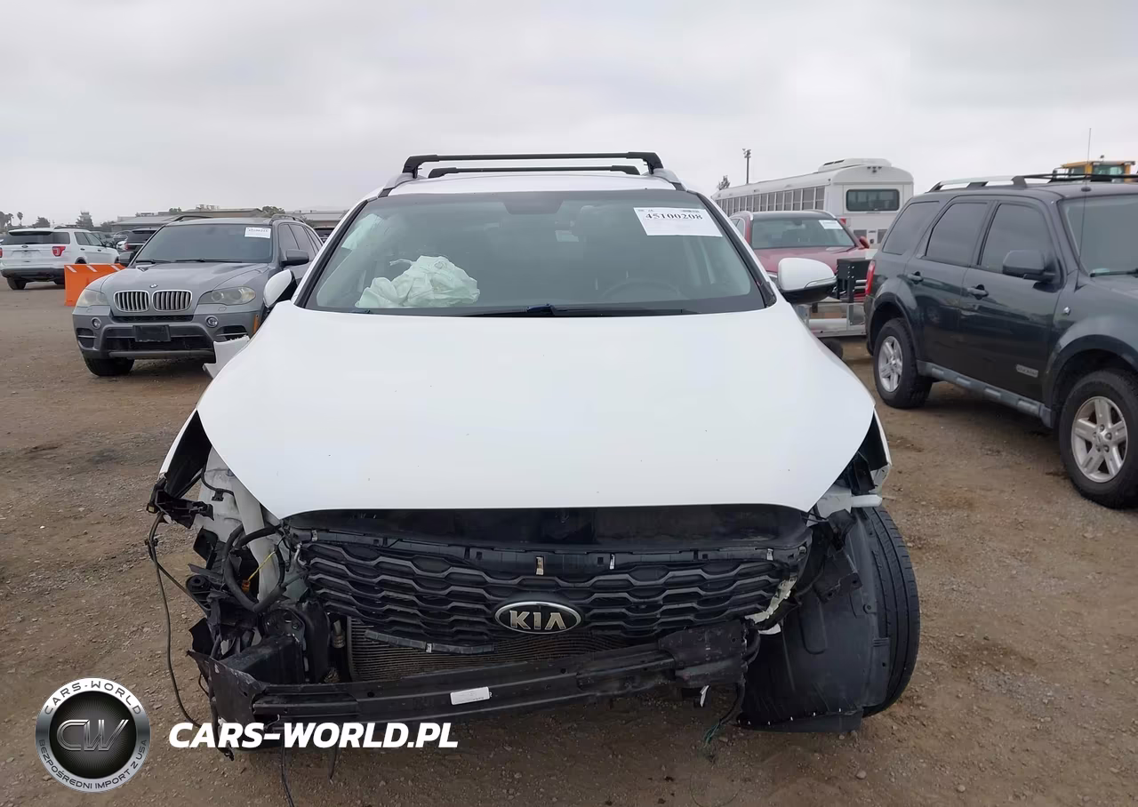2019 Kia Sorento 2.4L Lx VIN:5XYPG4A39KG434246 - 12