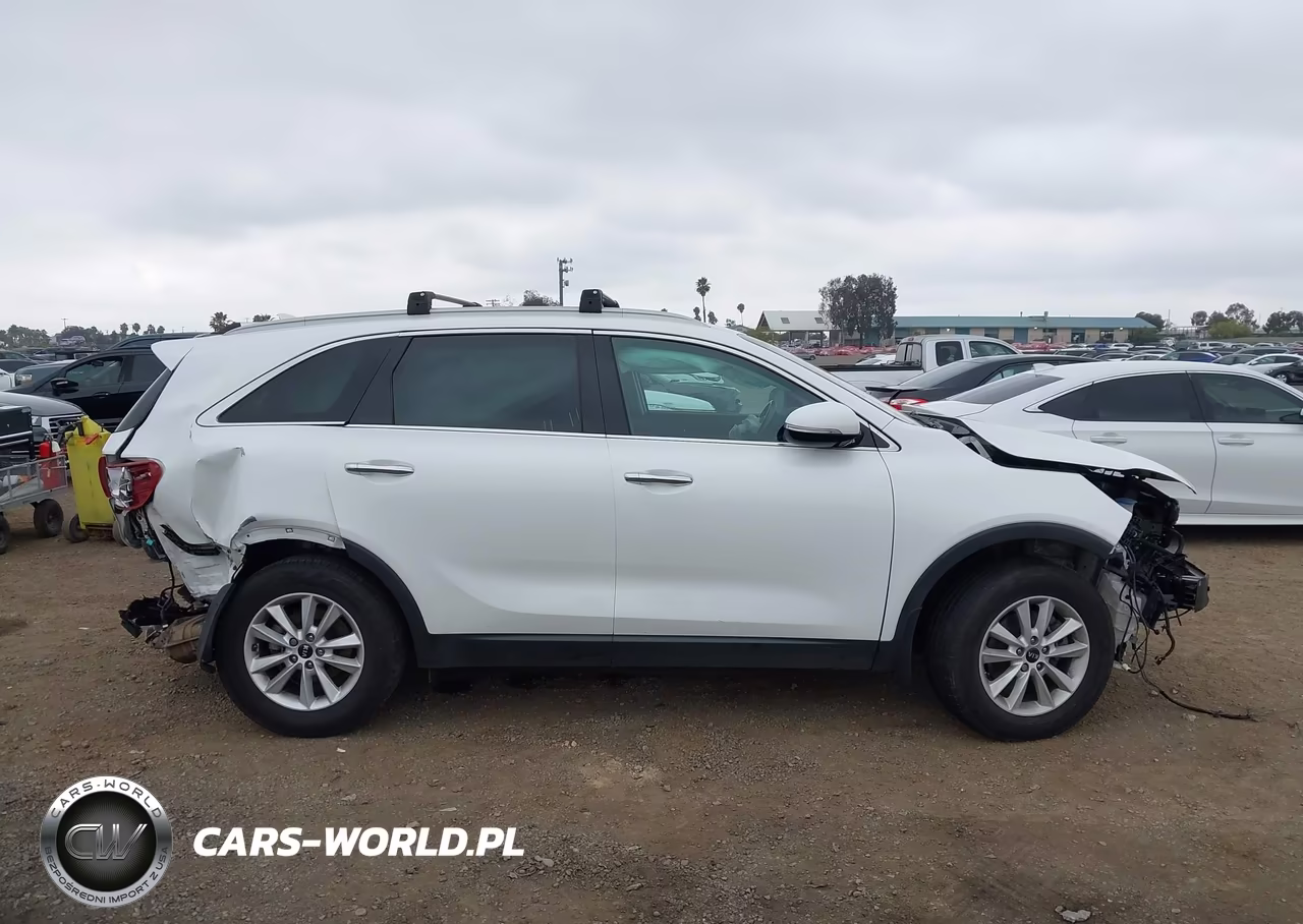 2019 Kia Sorento 2.4L Lx VIN:5XYPG4A39KG434246 - 13