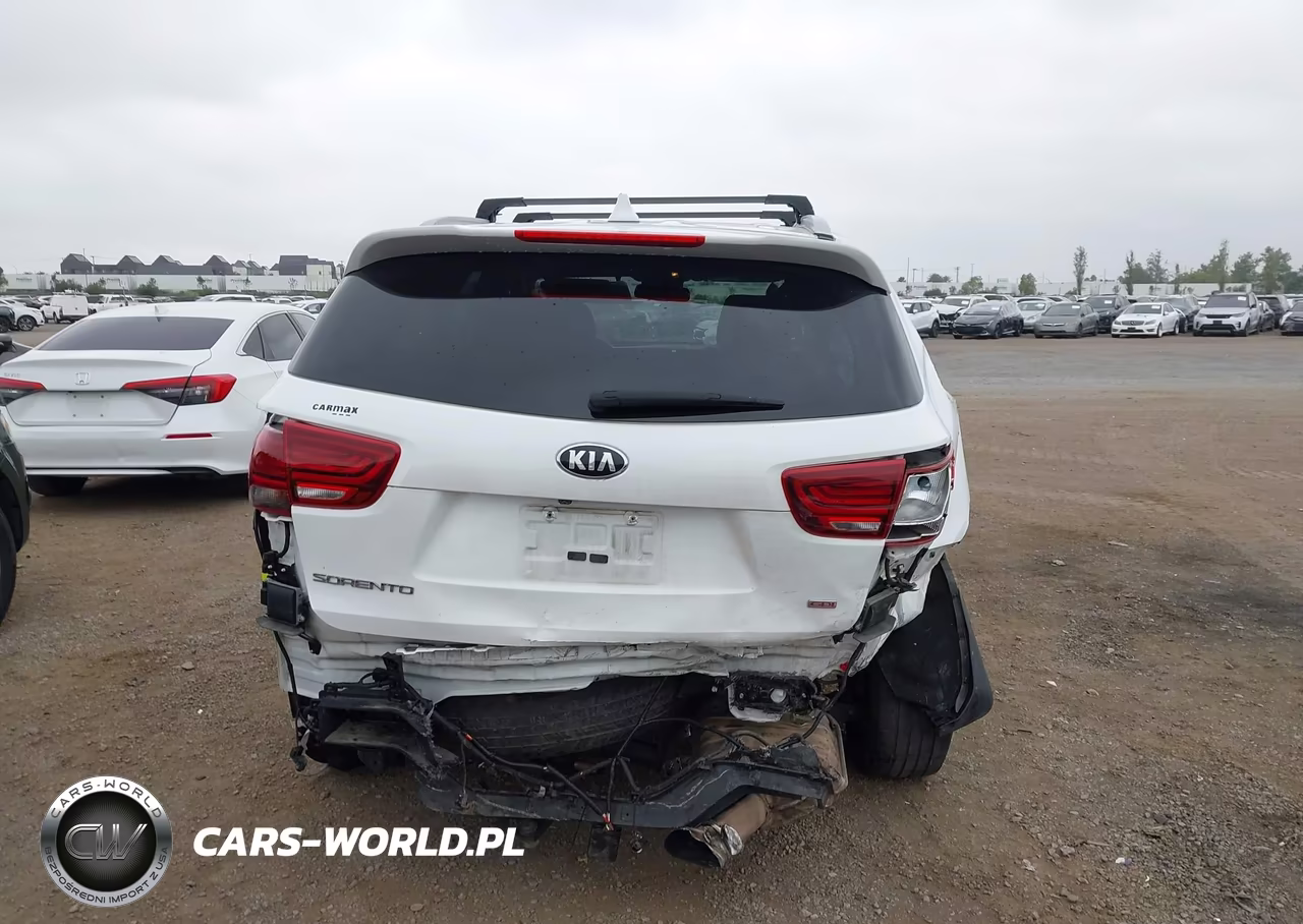 2019 Kia Sorento 2.4L Lx VIN:5XYPG4A39KG434246 - 16