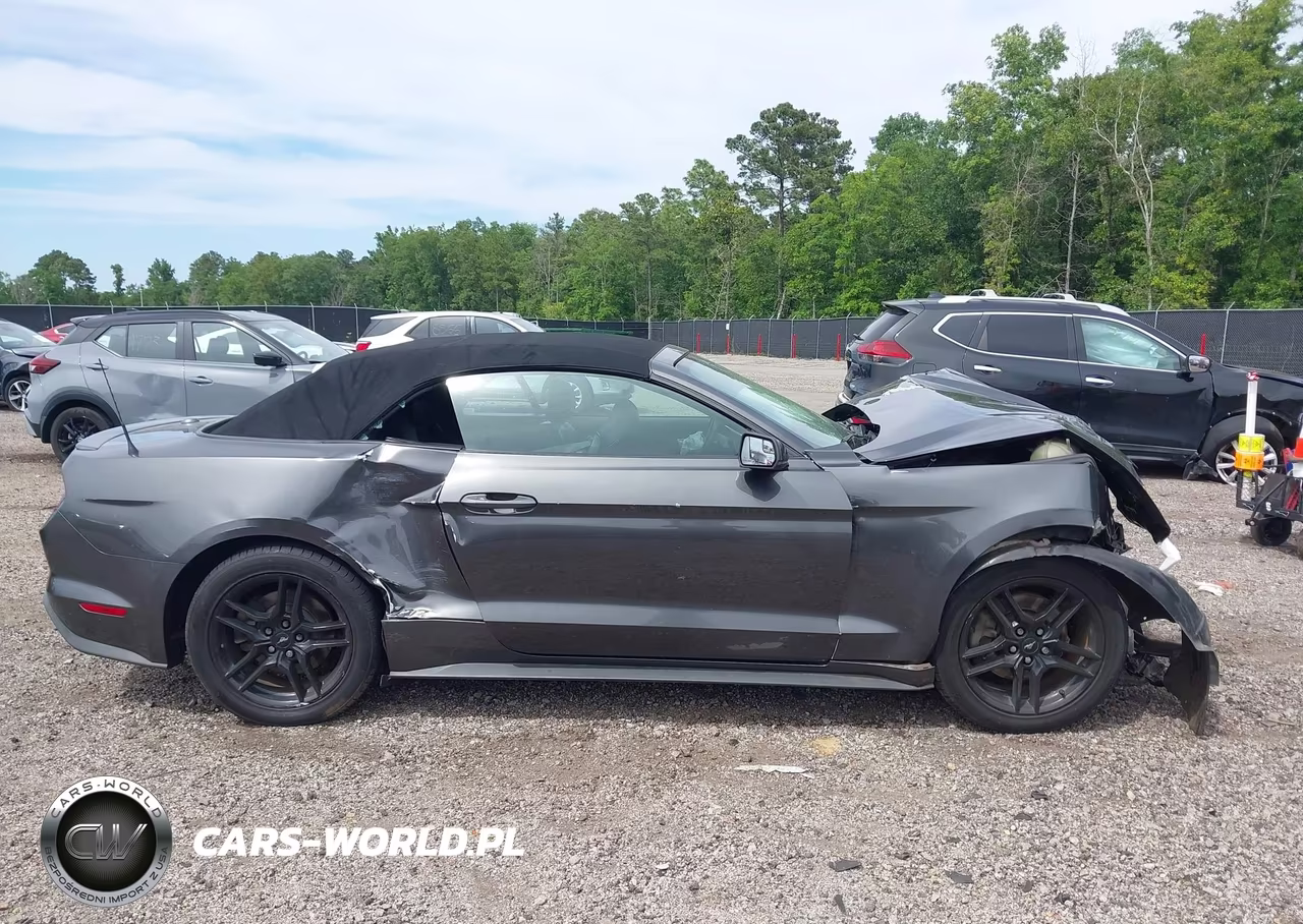 2019 Ford Mustang Ecoboost Premium VIN:1FATP8UH5K5131234 - 13