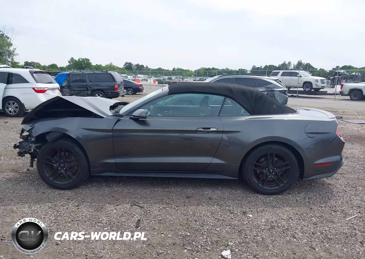 2019 Ford Mustang Ecoboost Premium VIN:1FATP8UH5K5131234 - 14