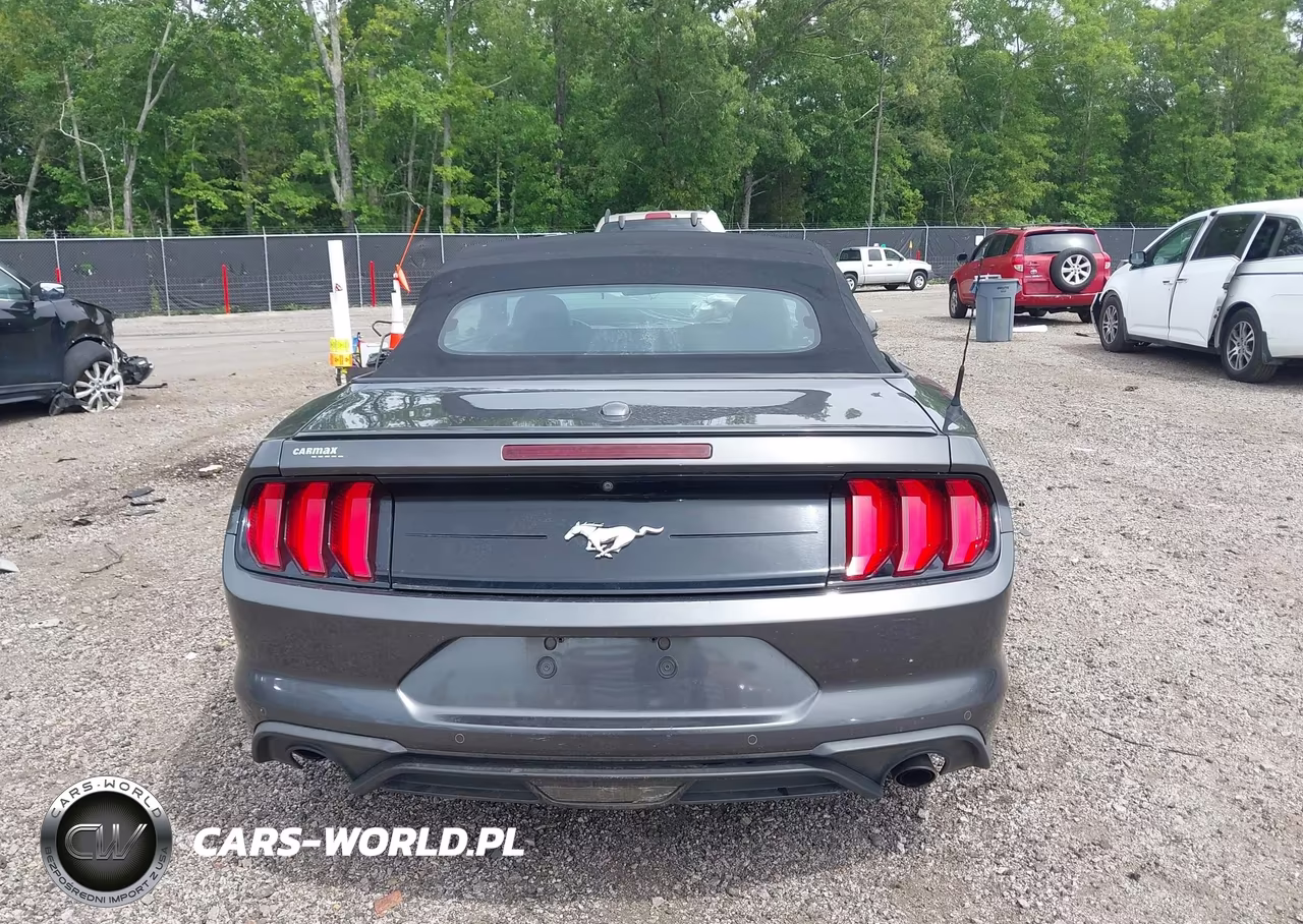 2019 Ford Mustang Ecoboost Premium VIN:1FATP8UH5K5131234 - 16