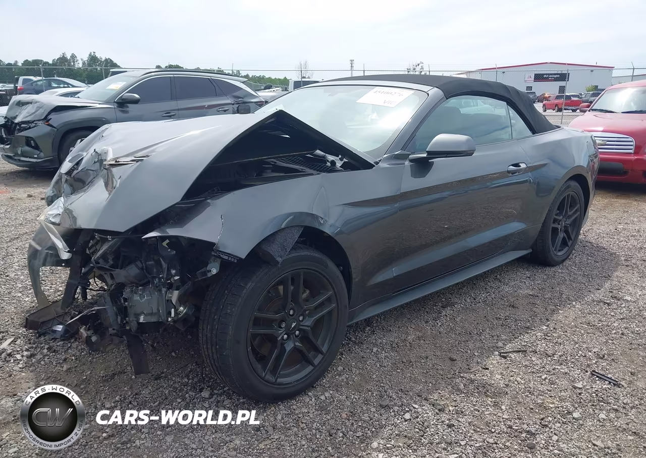 2019 Ford Mustang Ecoboost Premium VIN:1FATP8UH5K5131234 - 2