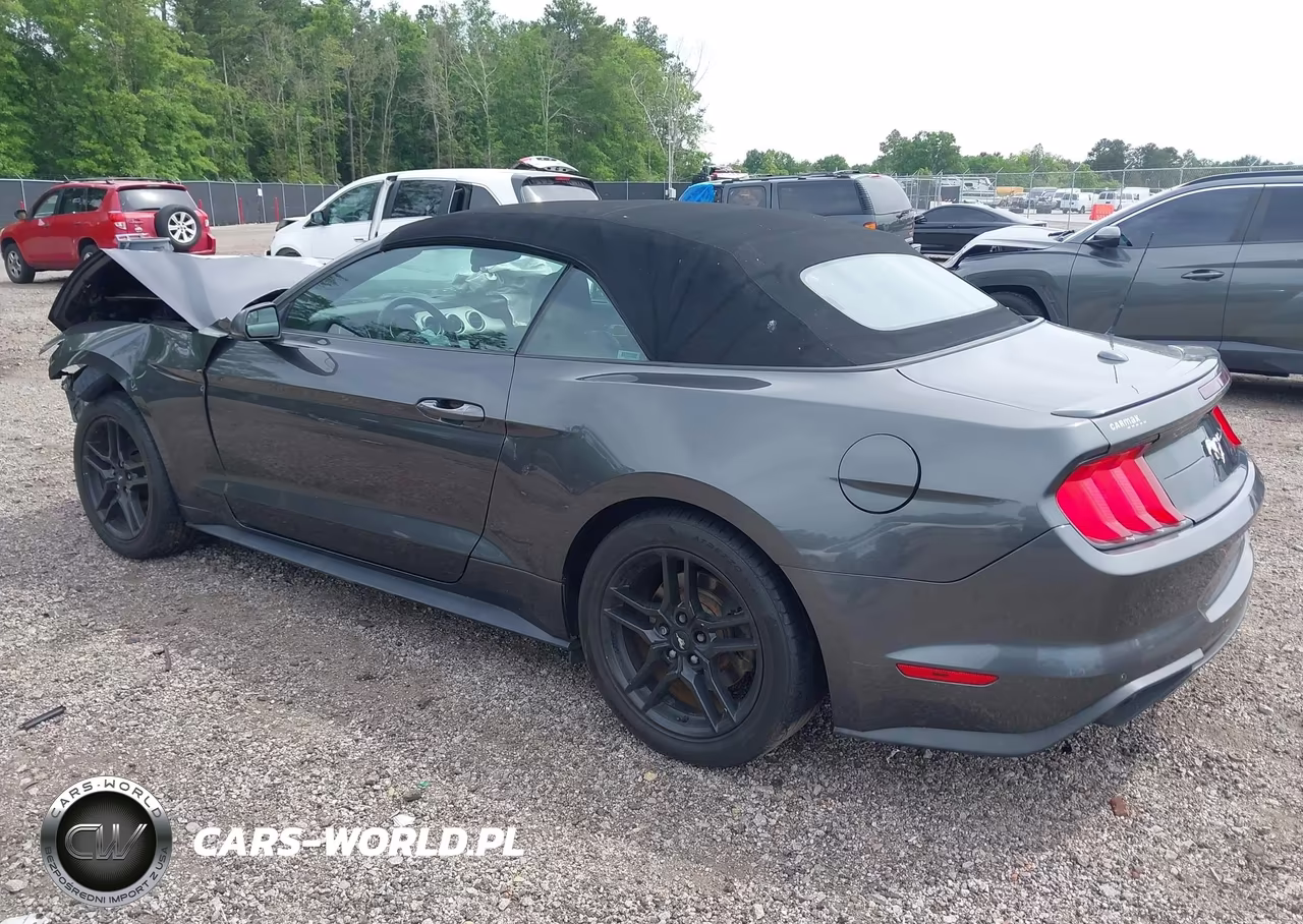 2019 Ford Mustang Ecoboost Premium VIN:1FATP8UH5K5131234 - 3