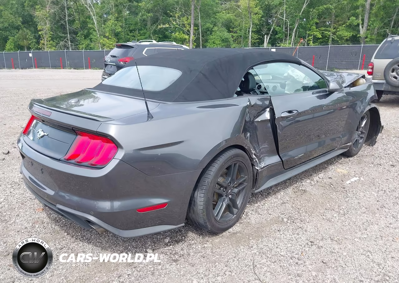 2019 Ford Mustang Ecoboost Premium VIN:1FATP8UH5K5131234 - 4