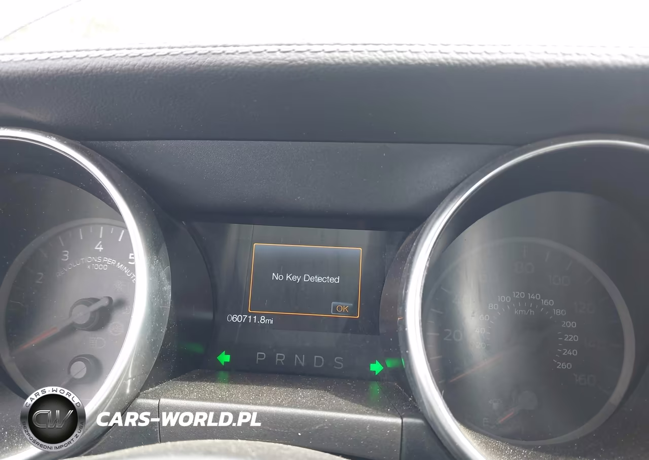 2019 Ford Mustang Ecoboost Premium VIN:1FATP8UH5K5131234 - 7