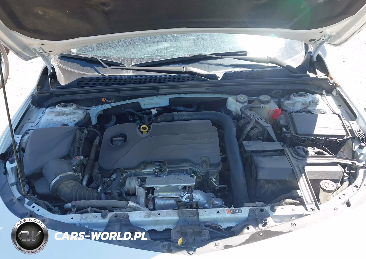 2023 Chevrolet Malibu Fwd 1Lt VIN:1G1ZD5ST3PF208079 - 10