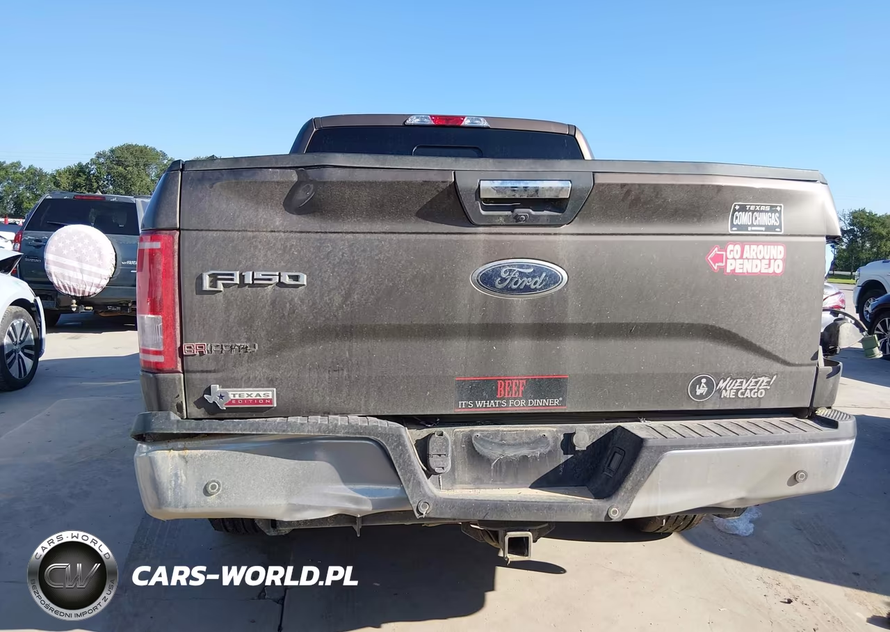 2016 Ford F-150 Xlt VIN:1FTEW1CP1GKD53607 - 17