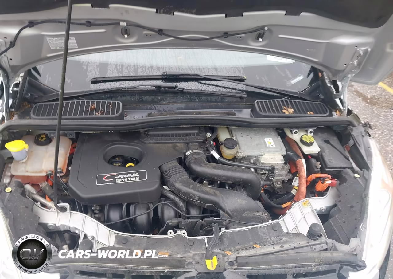 2014 Ford C-Max Energi Sel VIN:1FADP5CUXEL513082 - 10